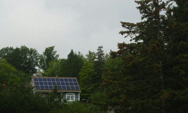 Fotowoltaika z magazynem energii — czy się opłaca w 2026?